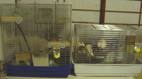 c0005835_23421352.jpg