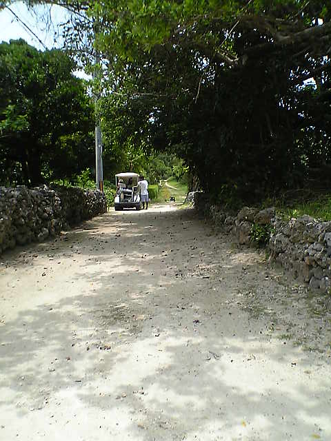 d0057441_22112022.jpg