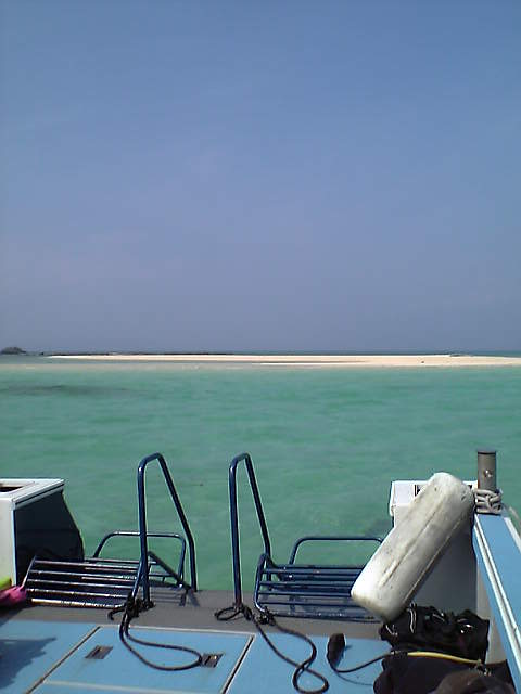 d0057441_22135431.jpg