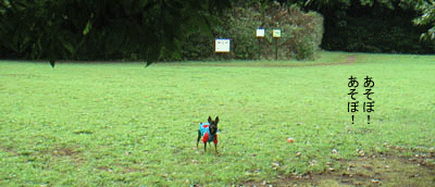 c0012571_1341282.gif