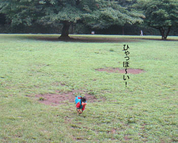 c0012571_13414560.gif