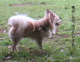 c0012571_13422354.gif