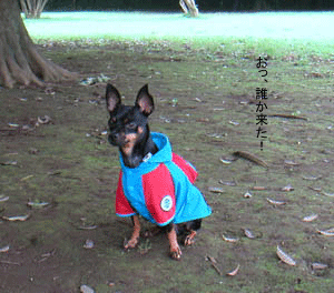 c0012571_1342583.gif