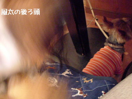 c0044199_228029.jpg