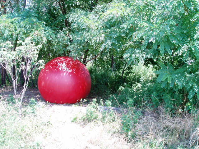 c0037103_1458176.jpg