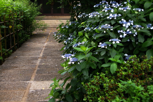 b0053019_23404475.jpg