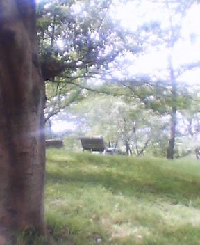 a0013236_2232268.jpg
