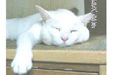 c0011446_21544888.jpg