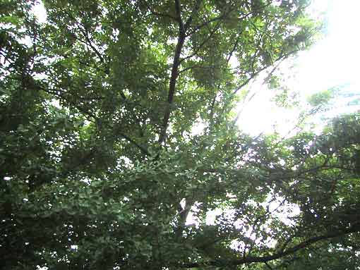 b0057679_9123144.jpg