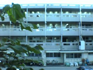 c0031582_21365536.jpg