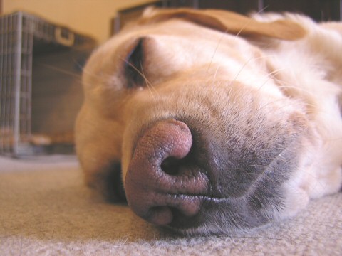 c0031288_20391175.jpg