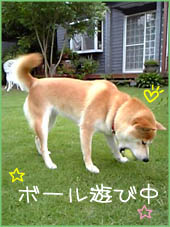 c0060620_3581298.jpg