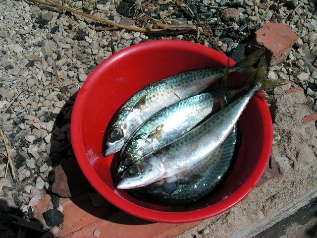 b0046131_17563672.jpg