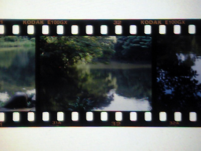 a0013134_2161994.jpg