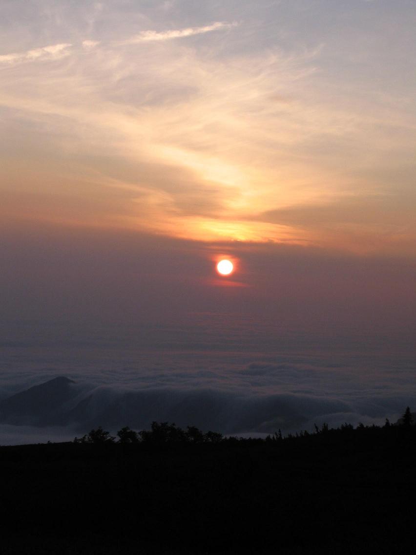 e0010134_7413016.jpg