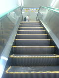 c0065643_1331842.jpg