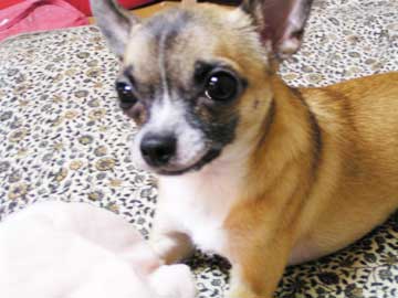 c0019050_23214121.jpg