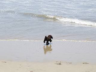 c0013693_11162121.jpg