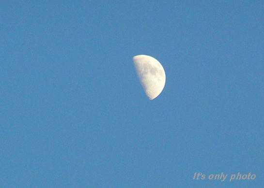 e0008800_0375641.jpg