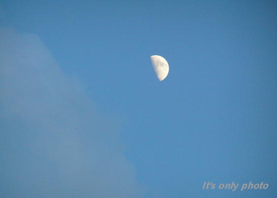 e0008800_038196.jpg