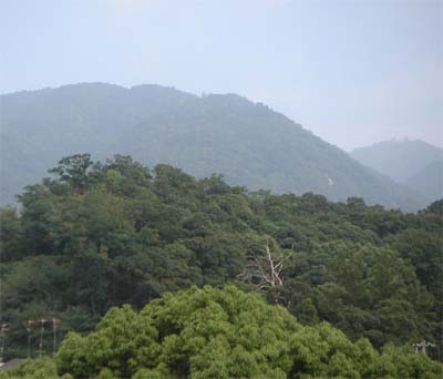 c0059521_845856.jpg