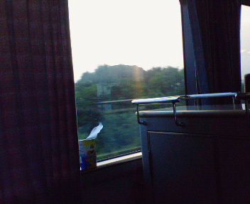 c0026025_0561361.jpg
