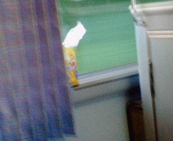 c0026025_0564647.jpg