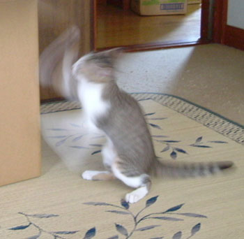 b0058229_234710100.jpg