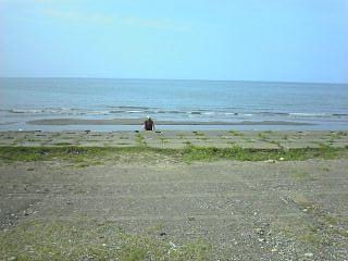 c0054838_043694.jpg