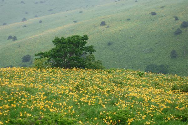 a0023460_2250321.jpg