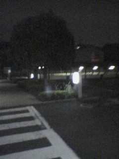 e0023564_2226358.jpg