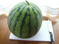d0034765_1632799.jpg