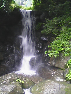 d0010073_2133254.jpg