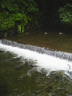 d0010073_21465956.jpg