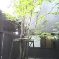 d0016778_22342876.jpg