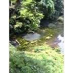 e0024081_12215258.jpg