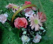 b0007895_22324069.jpg