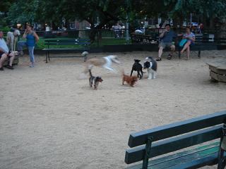 c0024329_835029.jpg