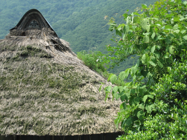 e0009147_21522317.jpg