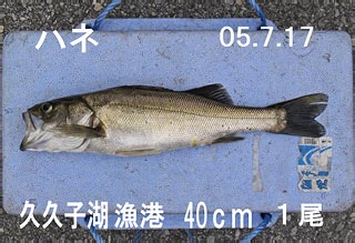 e0023183_15255876.jpg