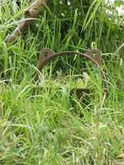 c0068090_13481640.jpg