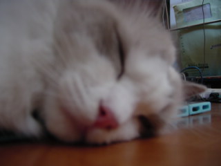 c0024410_2118313.jpg