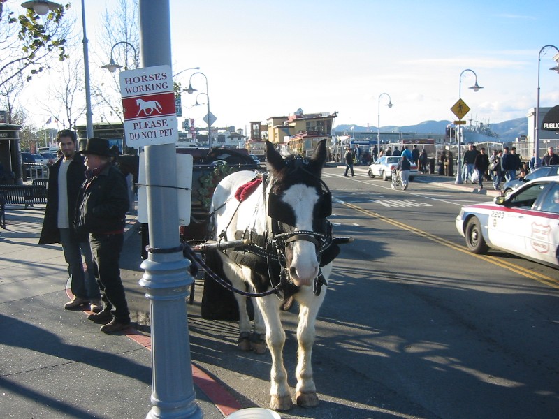 c0014416_13201244.jpg