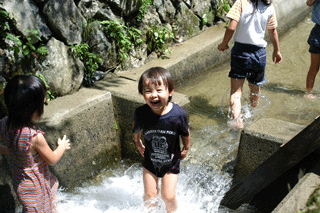 b0056924_23321710.gif