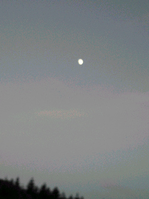 d0002224_10333960.jpg