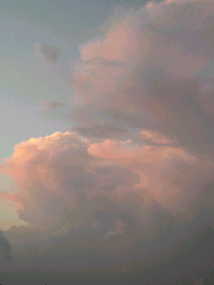 d0002224_1034538.jpg