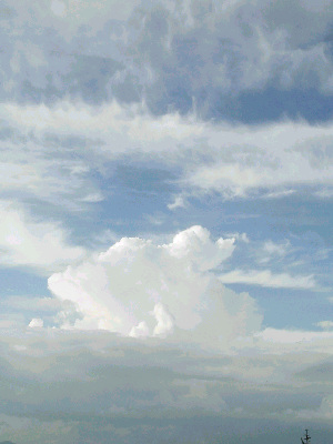 d0002224_1048680.jpg