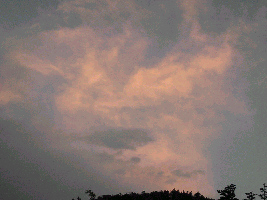 d0002224_1054080.jpg