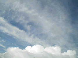 d0002224_9522134.jpg