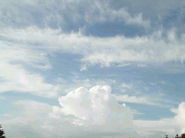 d0002224_95225.jpg
